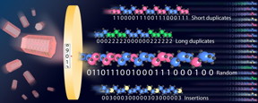 Rods of multivariate MOFs (left) can be programmed with different metal atoms (colored balls) to do a series of chemical tasks, such as controlled drug release, or to encode information like the ones and zeros in a digital computer.

CREDIT
UC Berkeley image by Omar Yaghi and Zhe Ji