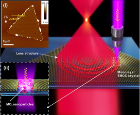 Schematic of femtosecond laser fabrication of a monolayer TMDC lens. Inset: (i) AFM image of a monolayer TMDC single crystal, and (ii) Schematic of femtosecond laser-induced generation of MOx nanoparticles.

CREDIT
by Han Lin, Zai-Quan Xu, Guiyuan Cao, Yupeng Zhang, Jiadong Zhou, Ziyu Wang, Zhichen Wan, Zheng Liu, Kian Ping Loh, Cheng-Wei Qiu, Qiaoliang Bao, Baohua Jia