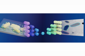 Illinois researchers have linked electron microscope imaging and machine learning, making it much easier to study nanoparticles in action. The schematic shows how a neural network, middle, works as a bridge between liquid-phase electron microscope imaging, left, and streamlined data output, right. For more information visit, pubs.acs.org/doi/10.1021/acscentsci.0c00430.

Graphic courtesy ACS and the Qian Chen group