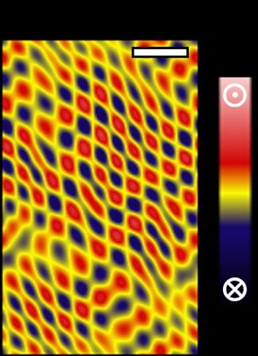 The measured domain pattern of the 'incommensurate spin crystal' phase.

CREDIT
University of Warwick