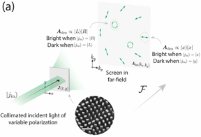 Illustrative example of a polarization-analyzing hologram. When illuminated with a laser light, the metasurface hologram implements a far-field in which light is directed on the basis of its incident polarization state. In this particular example, the hologram is designed to produce a pattern of illustrations of different polarization states.

CREDIT
(Image credit: Capasso Lab/Harvard SEAS)

