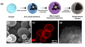 (a) single-atomic catalyst synthesis process using humidifier method, (b) SEM image, (c) cobalt element mapping image, (d) high-resolution STEM image of cobalt single-atomic catalyst

CREDIT
Korea Institute of Science and Technology (KIST)