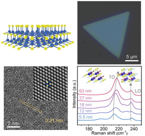 Researchers obtained high-quality 2D InAs single crystals via van der Waals epitaxy and explored the optical and electrical properties of InAs single crystals.
CREDIT
Nano Research, Tsinghua University Press