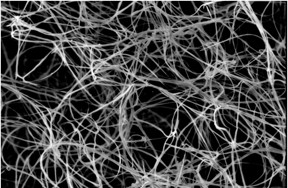 A tangle of unprocessed boron nitride nanotubes seen through a scanning electron microscope. Rice University scientists introduced a method to combine them into fibers using the custom wet-spinning process they developed to make carbon nanotube fibers. (Credit: Pasquali Research Group/Rice University)