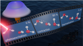 Schematic depiction of the quantum mechanical nature of water molecule interactions: excitation by a laser, followed by contraction of the hydrogen bond, then release of the energy (thermalization).
CREDIT
Image courtesy of SLAC National Accelerator Laboratory.
