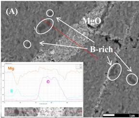 Scientists at SIT and University of Normandie developed bulk MgB2 with promising superconductivity. This picture shows unreacted magnesium oxide and boron in the matrix of MgB2, and the inset shows energy dispersive x-ray spectroscopy curves for boron, oxygen, and magnesium.

CREDIT
Muralidhar Miryala from SIT, Japan and Prof. Jacques G. Noudem from UN, France