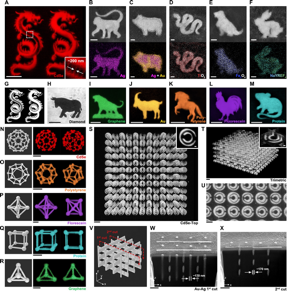 (A) Fluorescent image of two dragons of CdSe QDs without shrinking; the inset shows a resolution of ~200 nm. (B-F) SEM (top) and EDX (bottom) images of a monkey of Ag; pig of Au-Ag alloy; snake of TiO2; dog of Fe3O4; and rabbit of NaYREF4, respectively. (G) Designed dragon patterns in (A). (H) Optical microscopy image of an ox of diamond. (I-M) Fluorescent images of a tiger of graphene QDs; goat of fluorescent Au; horse of polystyrene; rooster of fluorescein; and mouse of fluorescent protein, respectively. (N-R) 3D models and fluorescent images (maximum-intensity projection) of the fabricated structures in shapes of a C60 molecule, regular dodecahedron, regular octahedron, cube, and regular tetrahedron of different materials, respectively. (S) Top view of a five-layer split ring resonator (SRR) structure; inset: SRR unit; and (T) trimetric view of the SRR structure; inset: slice view of an SRR unit. (U) SEM image of the top layer of an SRR structure after shrinking and dehydration. (V) 3D model of a woodpile structure containing 16 vertical rods along the z-axis. (W, X) SEM cross-sectional images of the fabricated woodpile at the two cut planes in (V), respectively. (Substrate tilt angle: 52). Scale bars are 1 m for (B-F, U, W, X, and the insets of S and T); and 10 m for (A, H-M, N-T).

CREDIT
Chinese University of Hong Kong