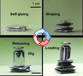 A multifunctional Origami structure built by the liquid metal-treated paper

CREDIT
Cell Reports Physical Science/Yuan et al.