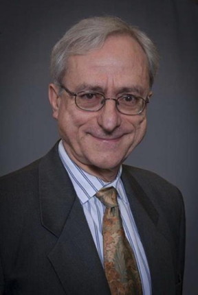 G. Paolo Galdi, Distinguished Professor of Mechanical Engineering & Materials Science at the University of Pittsburgh

CREDIT
University of Pittsburgh