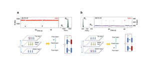 Time evolution of RTN signals with the corresponding RTN histograms of 1/f 2 feature in the noise power spectra at negative (a) and positive voltage (b). The high-resistance state in the 1/f2 histogram represents antiparallel spin states between layers (a) and the low-resistance state for parallel spin states between layers (b).

CREDIT
Institute for Basic Science