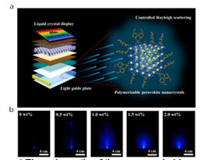 (a), The graphical abstract of the work: The PNCs/PS nanocomposite is fabricated through a two-type ligand strategy, which is proper to serve as LGP in LCD-related application based on the Rayleigh scattering behavior of the PNCs. (b), The function of LGP: When the blue laser light transports through the bulk nanocomposite with different doping content, the light and its surface output can be uniformized and enhanced.

CREDIT
by Chongming Liu, Zhicheng Zhu, Kaibo Pan, Yuan Fu, Kai Zhang and Bai Yang