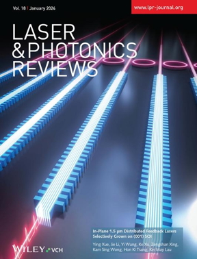 The study was selected as cover of the journal Laser & Photonics Reviews.

CREDIT
HKUST
