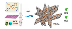 By utilizing the 2D-MOF as self-sacrificial template selenium-containing materials had been produced via simple method, which exhibits the efficient activity for overall water splitting

CREDIT
HIGHER EDUCATION PRESS