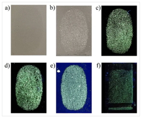 Development of latent fingerprints. Representative images on stainless steel are shown, illuminated by and viewed under visible light (a) before development and (b) after development with MCM-41@Ch@DnsGly NPs. Corresponding images generated by illumination with UV light (λex = 365 nm) after MCM-41@Ch@DnsGly NP development are shown on (c) stainless steel, (d) glass, (e) plastic and (f) unfired brass cartridge case substrates.

Credit
RSC Advances