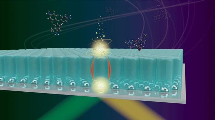 Schematic illustration of long-range interaction between metal nanoparticles and target molecules.

Credit
by Takeo Minamikawa, Reiko Sakaguchi, Yoshinori Harada, Hiroki Tanioka, Sota Inoue, Hideharu Hase, Yasuo Mori, Tetsuro Takamatsu, Yu Yamasaki, Yukihiro Morimoto, Masahiro Kawasaki, and Mitsuo Kawasaki

