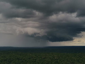 A rain front approaches the ATTO research station in the Amazon rainforest.

Credit
Sebastian Brill, Max Planck Institute for Chemistry