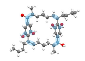 A 3-D X-ray diffraction image of cylindrocyclophane A. The bonds highlighted in blue were prepared using catalytic CH bond functionalization reactions.

Credit
Camila Suarez