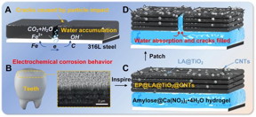 Inspired by the structure of human enamel, a biomimetic coating with enhanced viscoelasticity was constructed layer by layer. The underlying amylose hydrogel serves as both a buffering layer and a self-repairing filler. Using multiple spin-coating processes, TiO2@LA combined with CNTs was applied, followed by hot pressing to create a durable, wear-resistant superhydrophobic surface atop the hydrogel. This layered structure effectively disperses energy under impact loads and prevents crack propagation. Its exceptional mechanical durability and corrosion resistance make it highly promising for protecting oil pipelines against erosion and corrosion.

Credit
Xuerui Zang