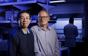 Nebraska researchers Jiantao Guo (left), professor of chemistry, and Janos Zempleni, Willa Cather Professor of nutrition and health sciences, have launched the startup Minovacca, which aims to commercialize the use of universal milk exosomes  natural nanoparticles contained in milk  to transport cargo to human cells.

Credit
Craig Chandler | University Communication and Marketing University of Nebraska-Lincoln