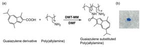 (a) Synthesis of guaiazulene substituted poly(allylamine) (b) Photo of guaiazulene substituted poly(allylamine). 

Credit
Kouki Oka et al.