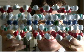One of Earth's most common nanomaterials is facilitating breakthroughs in tackling climate change: clay. In a new study, researchers at Purdue University, in collaboration with experts from Sandia National Laboratories, have potentially uncovered a game-changing method for using clay to capture carbon dioxide (CO2) directly from the air to help mitigate climate change.

Their work, which earned them a 2024 R&D 100 Award and has a patent application in progress, was recently published in The Journal of Physical Chemistry C.

This study is the first to report on the simultaneous absorption of carbon dioxide and water by a clay mineral at ambient concentrations of carbon dioxide, providing valuable insights into how these abundant resources can be harnessed for better carbon capture.

Credit
Purdue University
