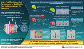 Cobalt exsolution occurs in layered perovskite oxides in oxidizing atmospheres, above 700C, and is governed by the formation of oxygen vacancies in the materials

Credit
Hanbat National University
