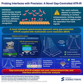Researchers have developed a low-cost method for the analysis of interfacial molecules by combining ATR-IR with precise gap-control and multi-variate data analysis.

Credit
Institute of Science Tokyo