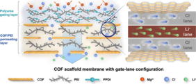 �Covalent organic framework (COF) scaffold membranes with gate-lane nanostructure were prepared.
�The gating layer affords high rejection to Mg2+ and thus high Li+/Mg2+ selectivity. The permeating layer bearing Li+ lanes and Cl− lanes facilitates Li+ transport and thus high Li+ permeability.
�The COF scaffold membrane exhibits the true selectivity of 231.9 with Li+ enrichment of 120.2% at the Mg2+/Li+ mass ratio of 50, exceeding the ideal selectivity of 80.5.
Credit
Zixuan Zhang, Yan Kong, Runlai Li, Xiaolin Yue, Hao Deng, Yu Zheng, Sui Zhang*, Runnan Zhang*, Zhongyi Jiang*.
