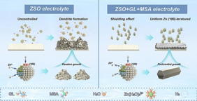�The hydrogen-bond network structure and solvation structure of the electrolyte are reconstructed by glycerol (GL) and methylsulfonamide (MSA) to achieve low-temperature durability in aqueous zinc-ion batteries (AZIBs).
�GL and MSA collaboratively construct (100)-oriented high-activity dendrite-free zinc anode to improve the rate performance of AZIBs.
�The Zn||Zn symmetrical cell achieved stable operation for 4,000 h at 1 mA cm−2 and 1 mAh cm−2 (30 �C) and 5,400 h at 0.5 mA cm−2 and 0.5 mAh cm−2 (−20 �C).
Credit
Xiyan Wei, Jinpeng Guan, Yongbiao Mu*, Yuhan Zou, Xianbin Wei, Lin Yang, Quanyan Man, Chao Yang, Limin Zang*, Jingyu Sun*, Lin Zeng*.