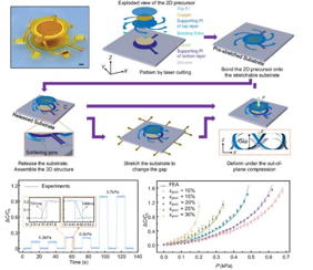 Tunable 3D pressure sensor design and performance. This figure shows the design concept, working mechanism, and sensing performance of the tunable flexible capacitive pressure sensor. A laser-patterned two-dimensional precursor is transformed into a cage-like three-dimensional structure through buckling-guided assembly on a pre-stretched substrate. Under out-of-plane compression, the electrode gap decreases and capacitance rises; lateral stretching can further tune the gap and adjust the sensing range and sensitivity. The lower panels highlight the sensor�s rapid response and recovery, as well as its strain-dependent pressure�capacitance behavior, demonstrating stable and adaptable performance for dynamic pressure monitoring.

Credit
Microsystems & Nanoengineering